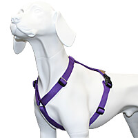 Haqihana Harness - Solid Colors